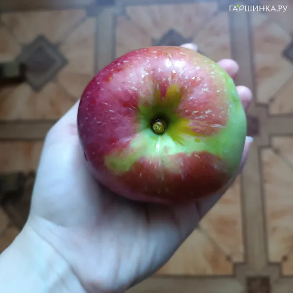 превью изображения отзыва