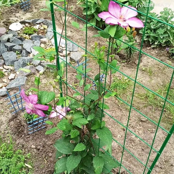 превью изображения отзыва