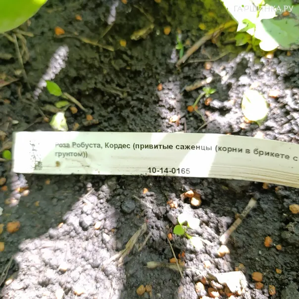 превью изображения отзыва