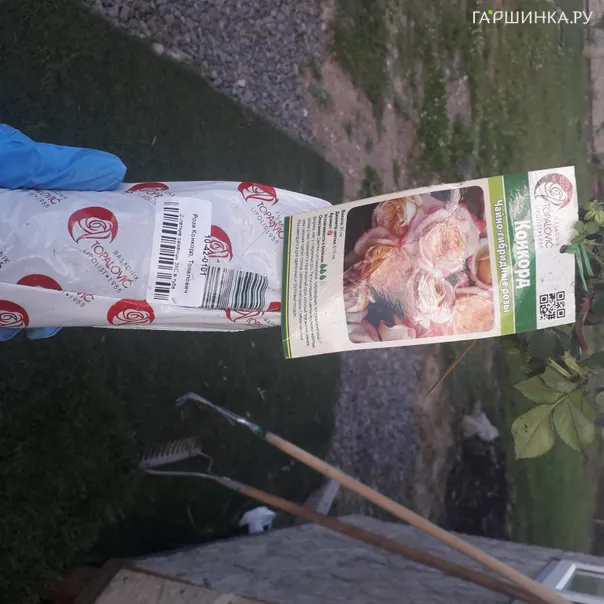 превью изображения отзыва