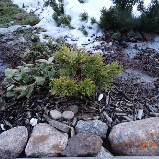 превью изображения отзыва