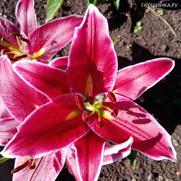 превью изображения отзыва