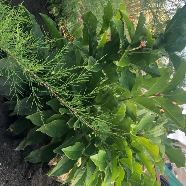 превью изображения отзыва