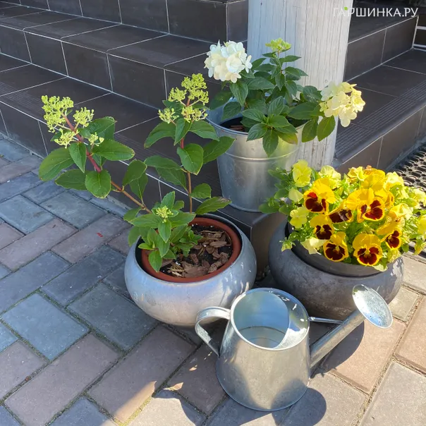 превью изображения отзыва