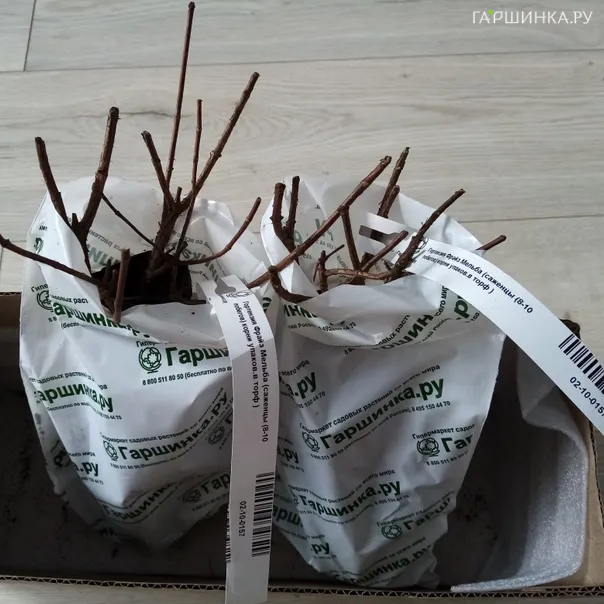 превью изображения отзыва