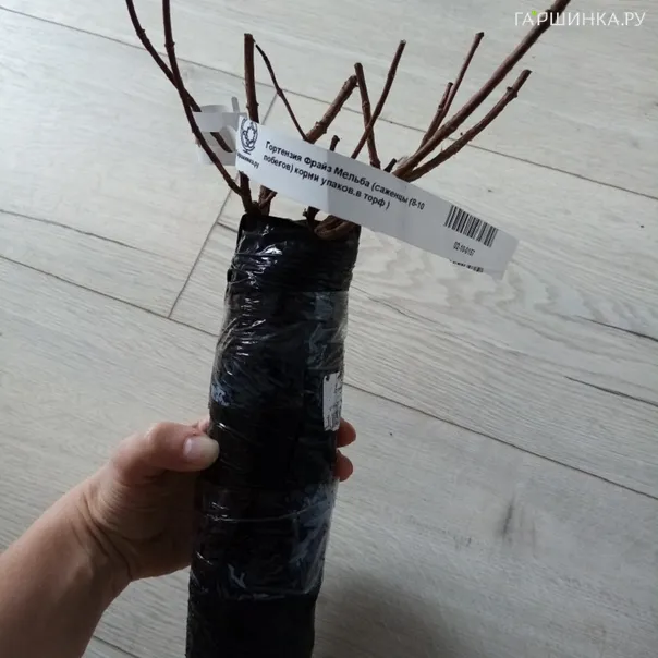 превью изображения отзыва