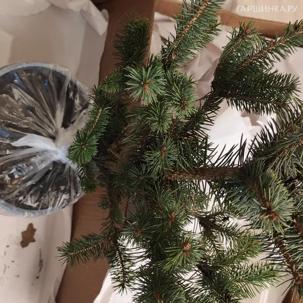 превью изображения отзыва