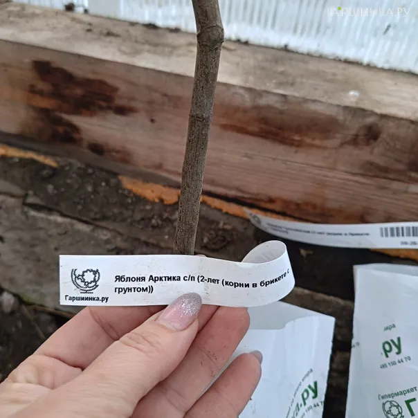 превью изображения отзыва