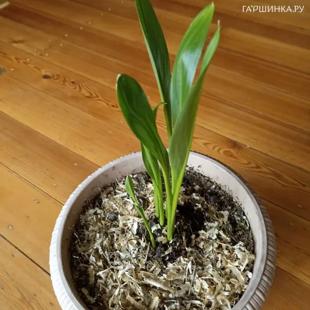 превью изображения отзыва