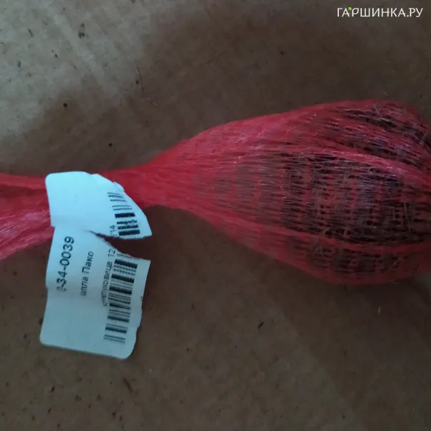 превью изображения отзыва