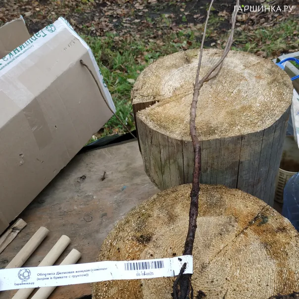 превью изображения отзыва