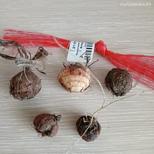 превью изображения отзыва