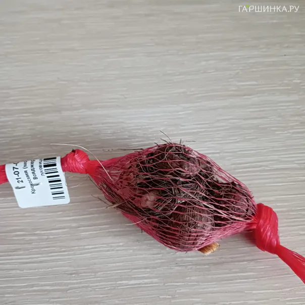 превью изображения отзыва