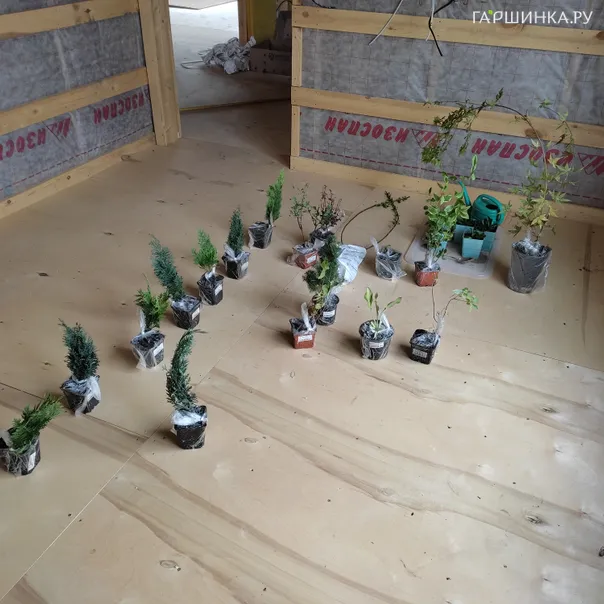 превью изображения отзыва