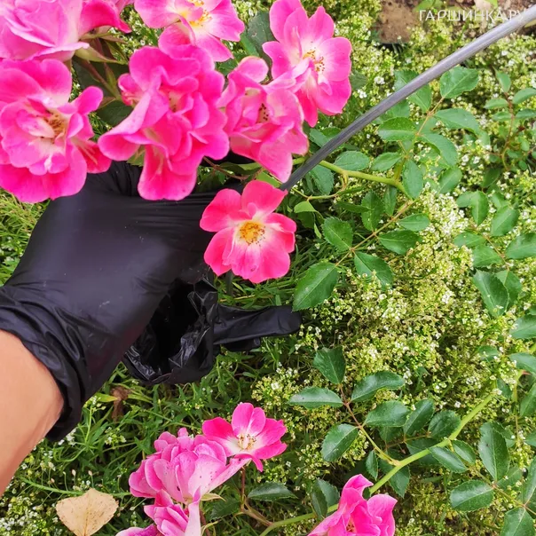 превью изображения отзыва