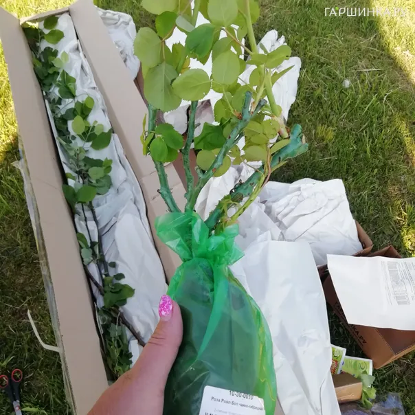 превью изображения отзыва