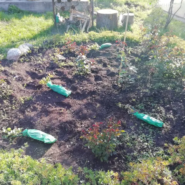 превью изображения отзыва