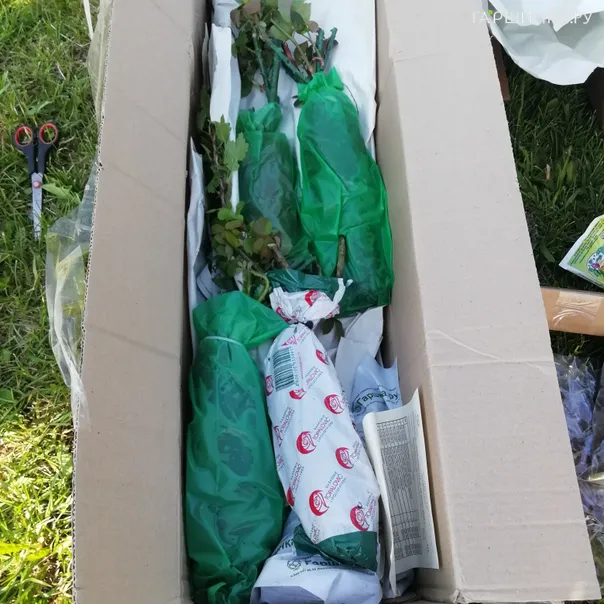 превью изображения отзыва