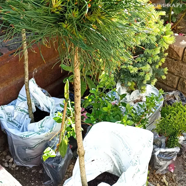 превью изображения отзыва