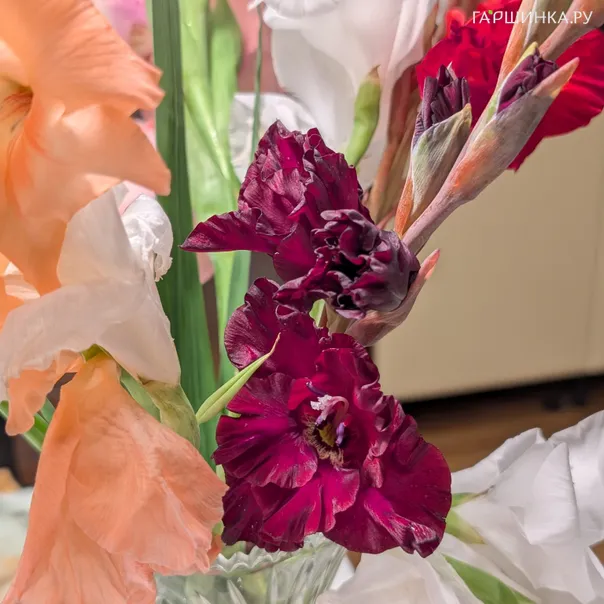 превью изображения отзыва