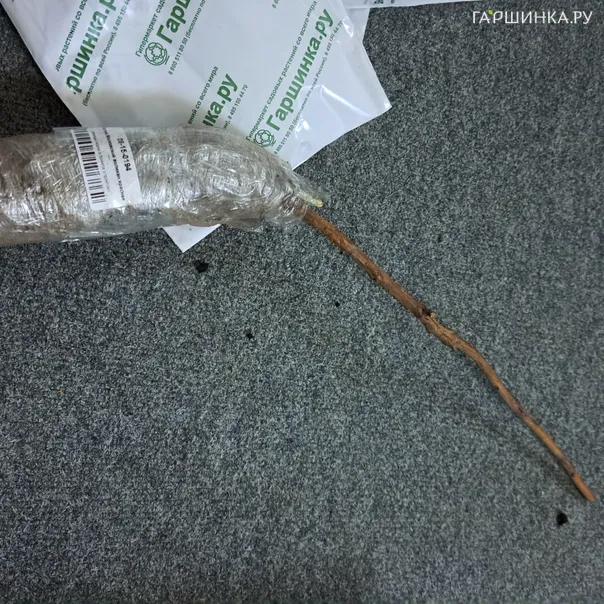 превью изображения отзыва