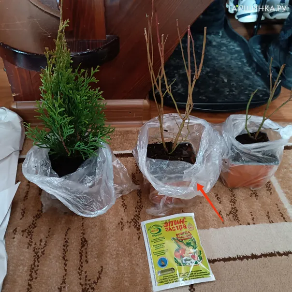 превью изображения отзыва