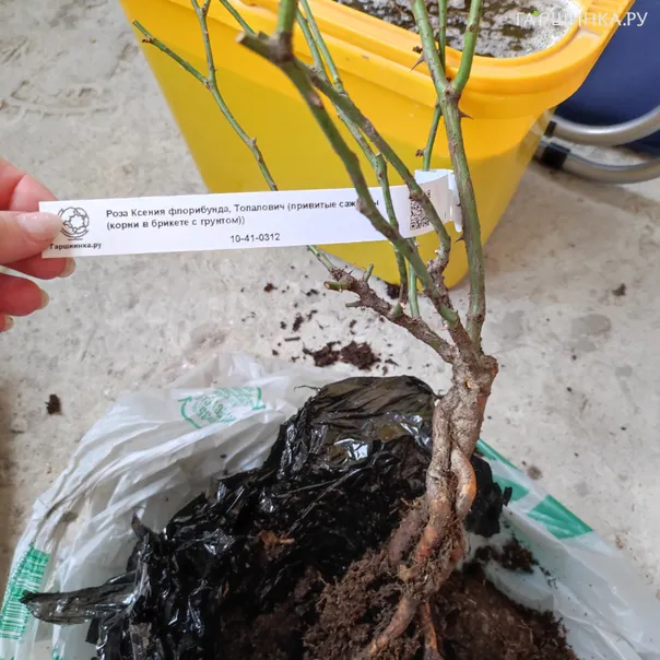 превью изображения отзыва