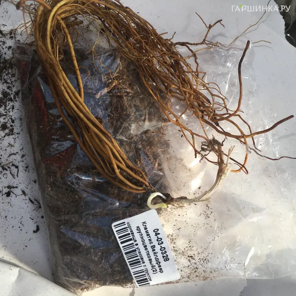 превью изображения отзыва