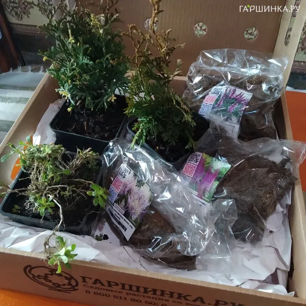 превью изображения отзыва