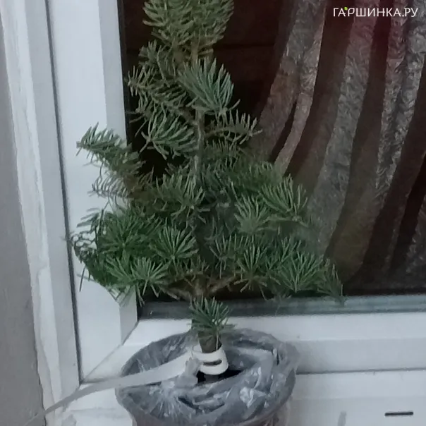 превью изображения отзыва