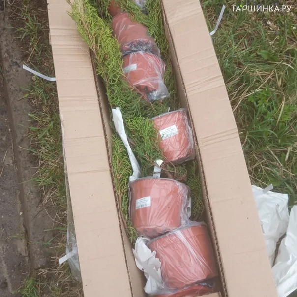 превью изображения отзыва