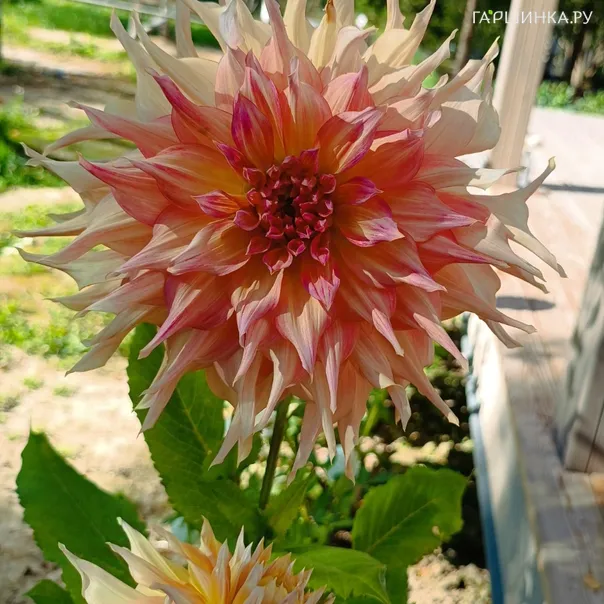 превью изображения отзыва