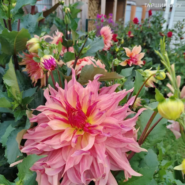 превью изображения отзыва