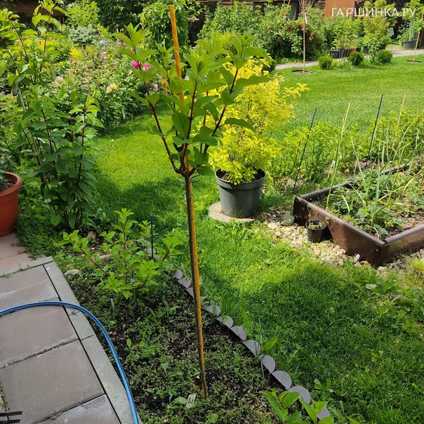 превью изображения отзыва