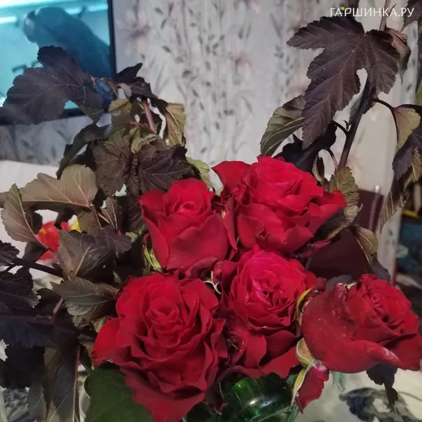 превью изображения отзыва