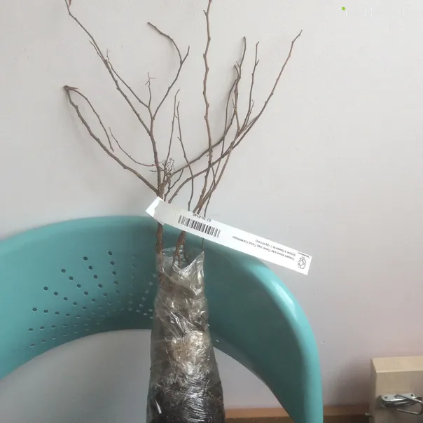 превью изображения отзыва