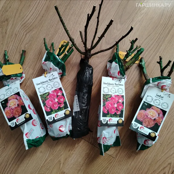 превью изображения отзыва