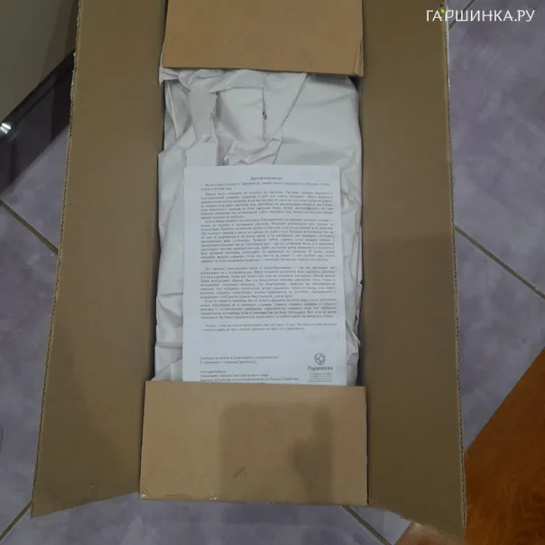 превью изображения отзыва