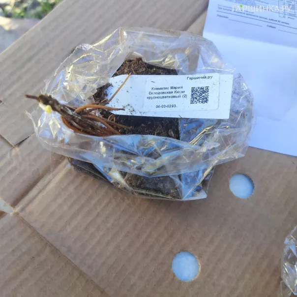 превью изображения отзыва