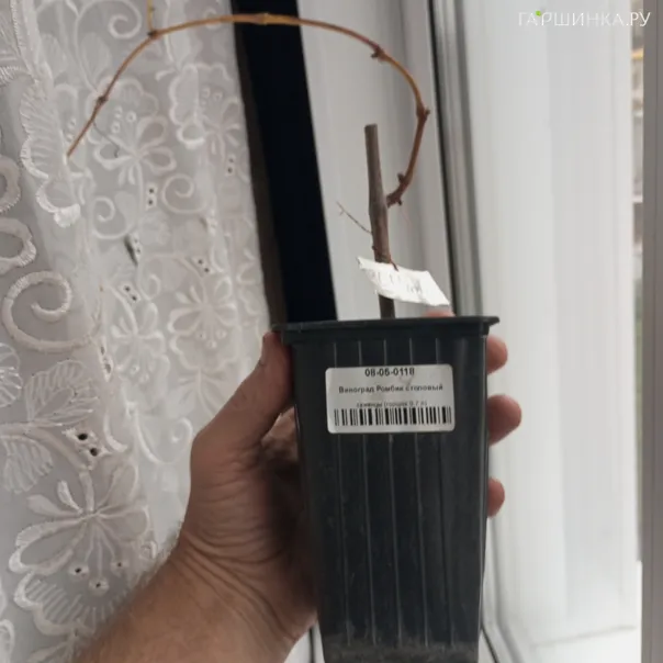 превью изображения отзыва