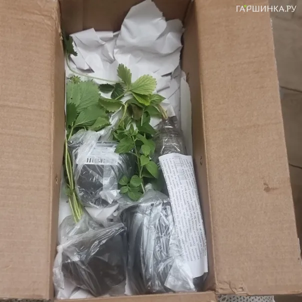 превью изображения отзыва