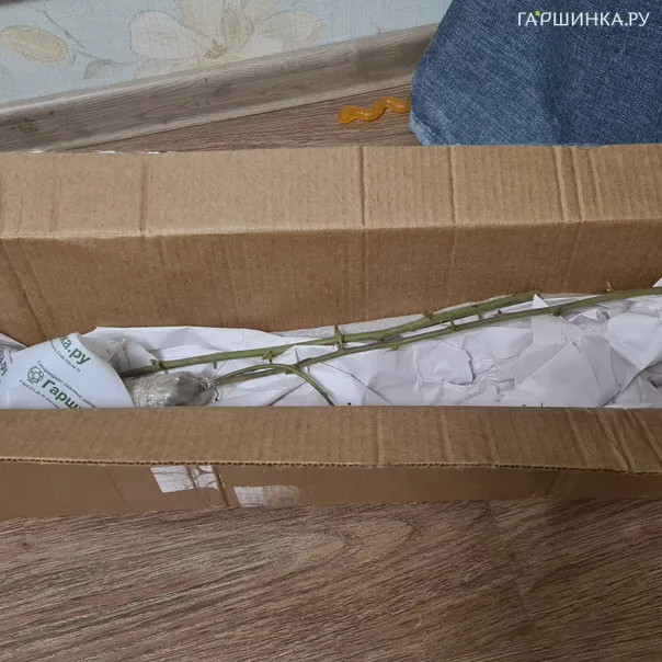 превью изображения отзыва