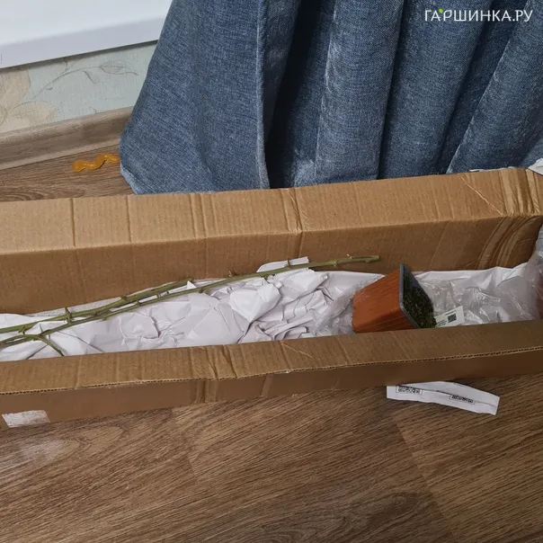 превью изображения отзыва