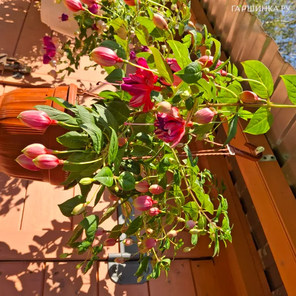 превью изображения отзыва