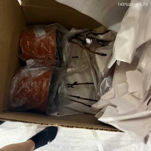 превью изображения отзыва