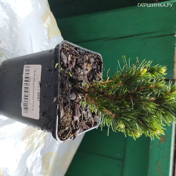 превью изображения отзыва