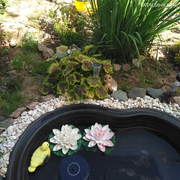 превью изображения отзыва