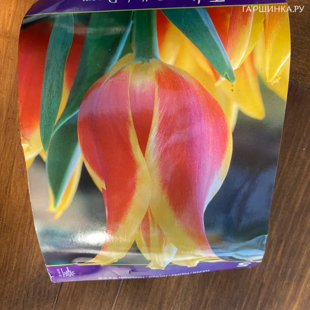 превью изображения отзыва