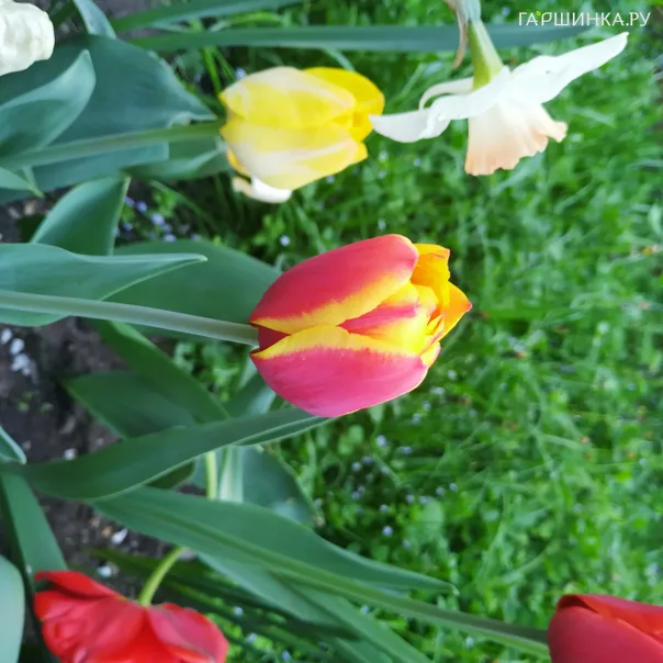 превью изображения отзыва