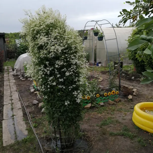 превью изображения отзыва